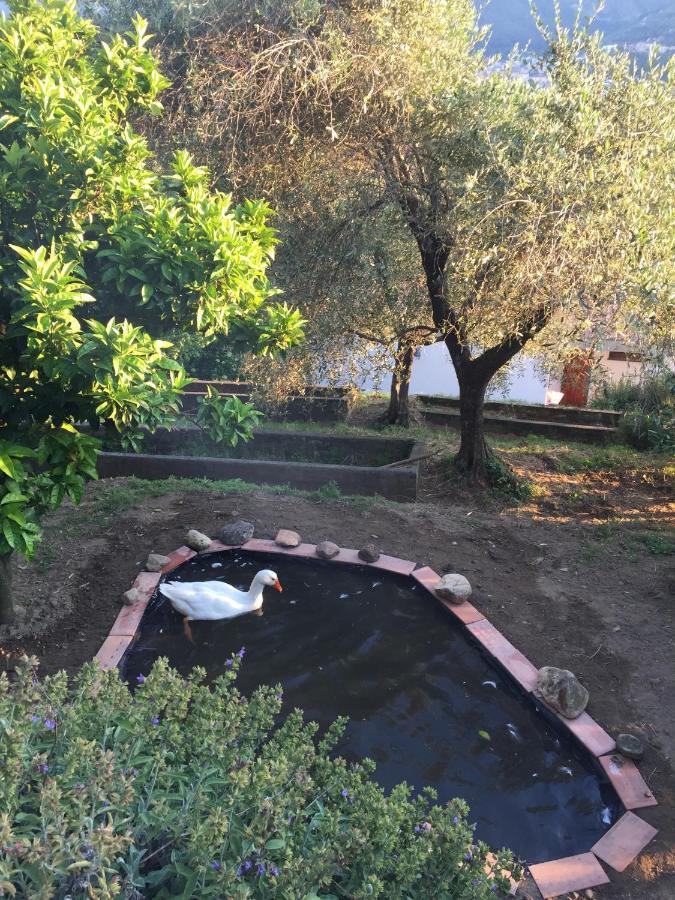 Gli Amici Di Carla Ξενοδοχείο Λα Σπέτσια Εξωτερικό φωτογραφία