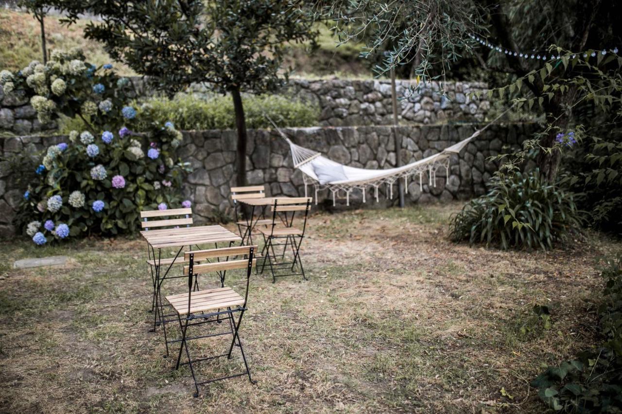 Gli Amici Di Carla Ξενοδοχείο Λα Σπέτσια Εξωτερικό φωτογραφία
